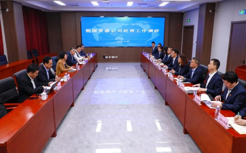 張穎總經(jīng)理帶隊深入能源資源公司調(diào)研指導工作