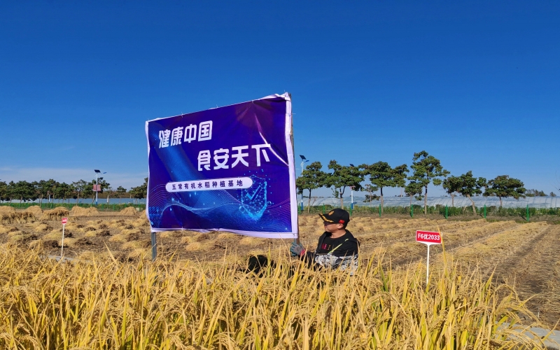 榮程集團：一?！胺N子”的新?lián)?>
								</div>
															
							<div   id=